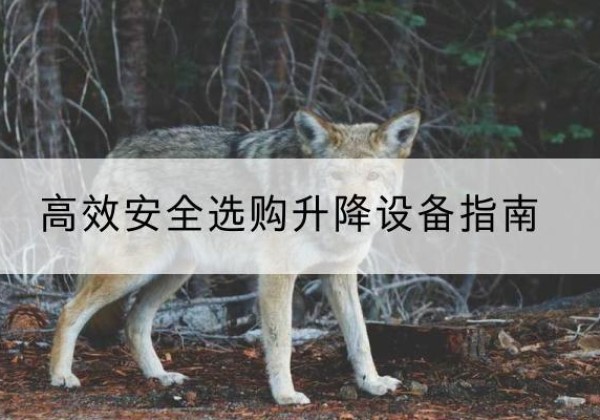 荔波升降货梯厂家推荐-*安全选购升降设备指南