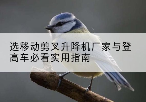 荔波电动升降机厂家-选移动剪叉升降机厂家与登高车必看实用指南