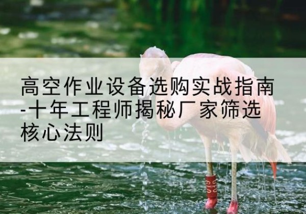 荔波剪叉式升降机厂家-高空作业设备选购实战指南-十年工程师揭秘厂家筛选核心法则